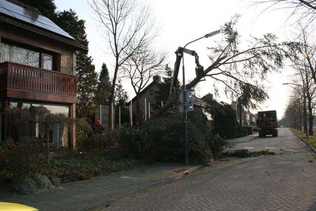 bomen vellen